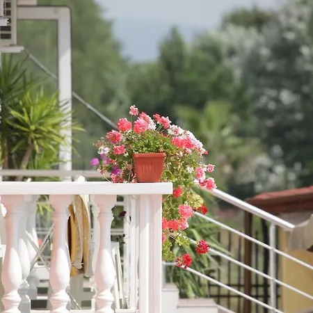 Otel Zaara Sunny Beach